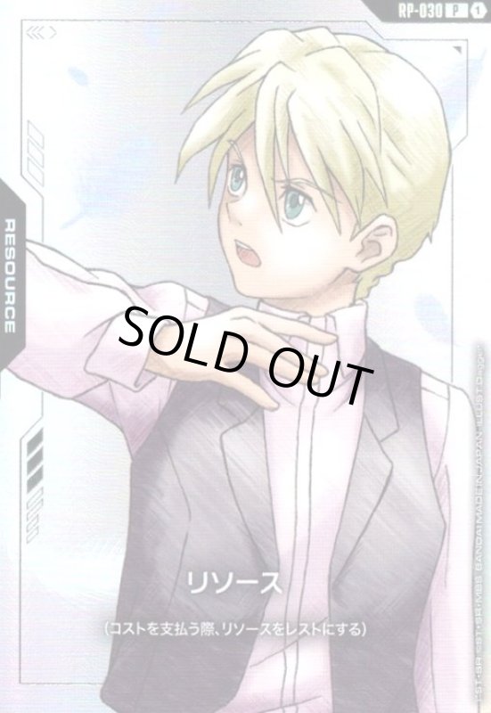 画像1: リソース(カトル)(P)(RP-030) (1)