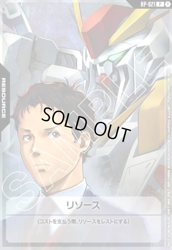 画像1: リソース(ハサウェイ)(P)(PR-021) (1)