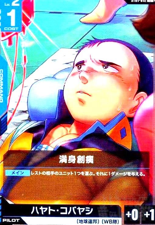 画像1:  満身創痍(C)(ST01-012) (1)